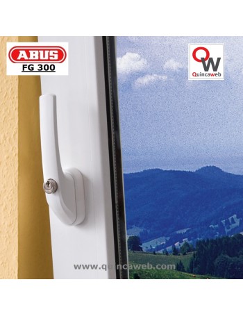 abus fg300